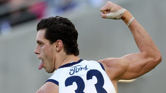 Fremantle Dockers lose to Geelong Cats at Optus Stadium despite three goals from Caleb Serong – MASHAHER