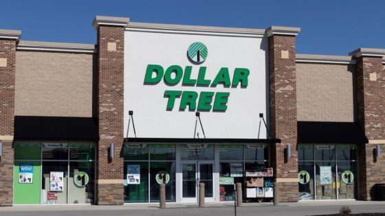 8 Grocery Items That Are Better Deals at Dollar Tree Than at Aldi or Walmart – MASHAHER