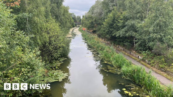 Sodium cyanide spill in Walsall canal could be gone within a week – MASHAHER