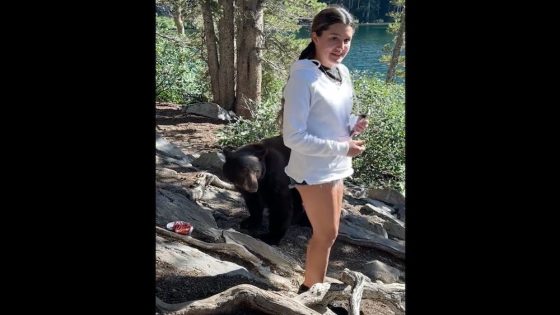 Black bear approaches girl, grabs her leg in ‘scary moment’ – MASHAHER