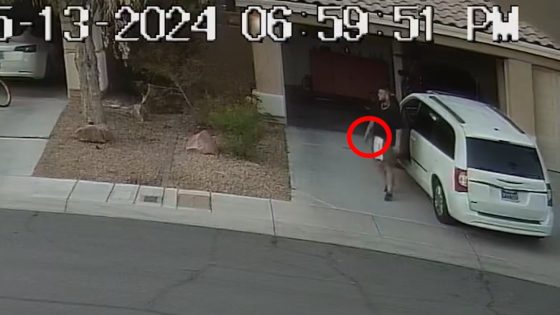 Las Vegas neighborhood shooting captured on video shows heated exchange, raises new questions – MASHAHER