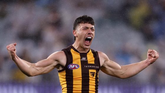 Massimo D’Ambrosio on trade from Essendon to Hawthorn, Sam Mitchell, recruit of the year, All-Australian conversation, latest news – MASHAHER