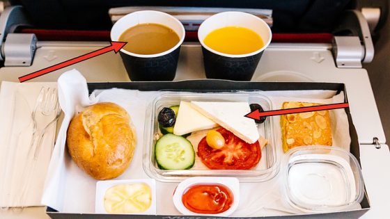 Flight Attendants Are Sharing The Food And Drinks You Should Avoid On A Plane, And You’ve Probably Had At Least One Of Them Before – MASHAHER