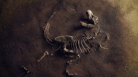 A Torrential Rainstorm Washed Over a Dig Site—and Revealed a 233-Million-Year-Old Dinosaur – MASHAHER