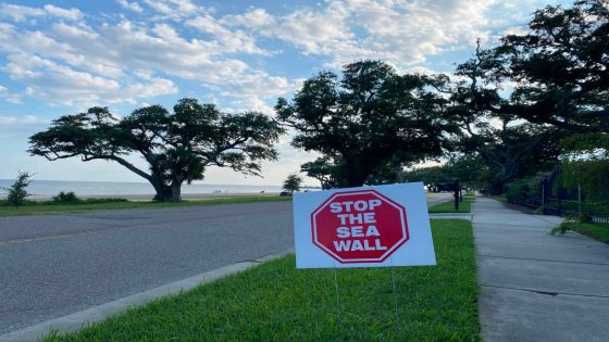 Aldermen vote to stop construction on controversial beach boardwalk on the MS Coast – MASHAHER