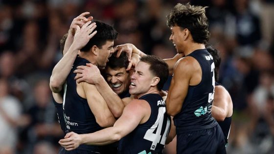 AFL finals fixture 2024 | AFL finals bracket, schedule, dates, times and venues, who plays who, when is the AFL Grand Final? – MASHAHER