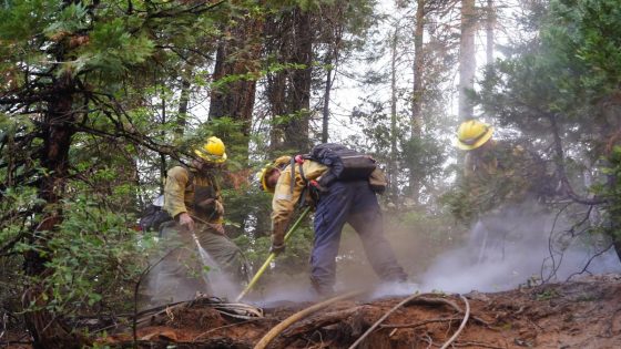 Park Fire threatening one of California’s most iconic species at risk for extinction – MASHAHER