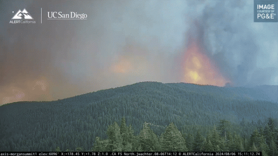 Huge Column of Smoke Swirls Above California’s Park Fire – MASHAHER