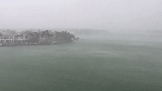 Miami Beach Lashed by Strong Winds as Tropical Storm Debby Intensifies – MASHAHER