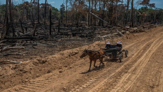 The Mennonites Making the Amazon Their Home – MASHAHER