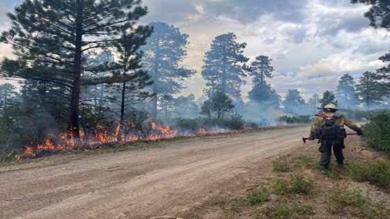 Bucktail Fire update; Blaze grows over 7,000 acres as crews continue interior burning to reduce understory vegetation – MASHAHER