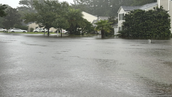 Residents of Hilton Head area see downed trees, washed-out roads and damage from Debby – MASHAHER