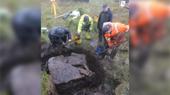 ‘Stunning’ Bronze Age burial chamber discovered on the English moor – MASHAHER