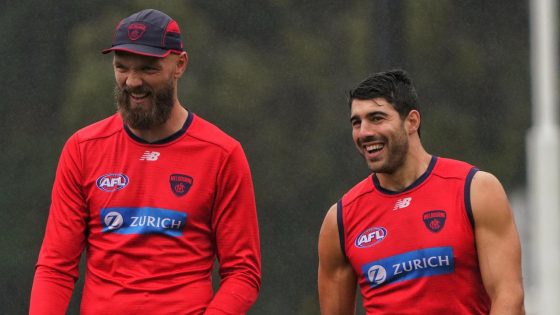 Max Gawn says there is no breakdown with Christian Petracca, admits to Melbourne Demons ‘fractures’ – MASHAHER