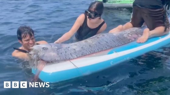 Paddle-boarders find rare ‘doomsday’ fish off California coast – MASHAHER