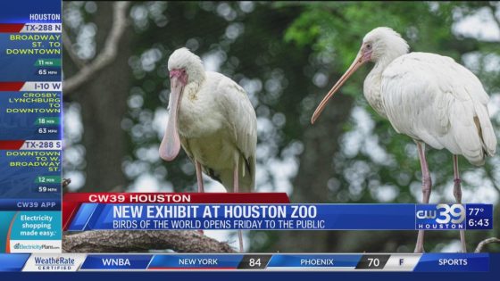 Visit the four NEW avian exhibits at Houston Zoo starting Friday – MASHAHER