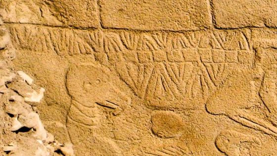 Carvings at site in Turkey could depict comet strike that ushered in civilization: Study – MASHAHER