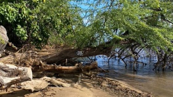 Hawaiʻi residents voice concern over beach, hiking access – MASHAHER