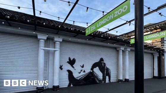 Banksy’s latest work appears on London Zoo gates in Camden – MASHAHER