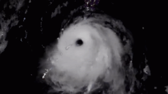 Typhoon Shanshan Spirals Over Southern Japan – MASHAHER