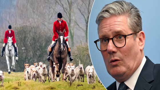 Eco-campaigners call on Starmer to end fox hunting loophole amid fears over ‘ugly culture war’ – MASHAHER