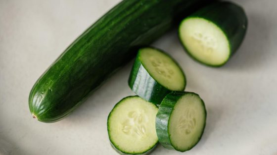 Recalled cucumbers in salmonella outbreak behind 449 illnesses, CDC says – MASHAHER