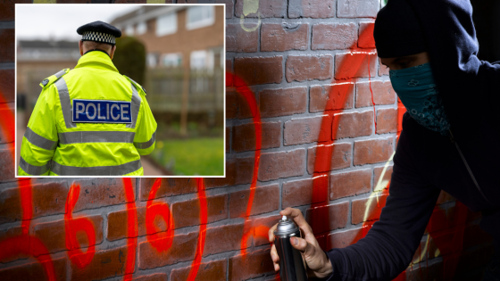 ‘No whites’ graffiti in Birmingham investigated by police as CCTV shows hooded figure spraying racist slur on wall outside primary school – MASHAHER