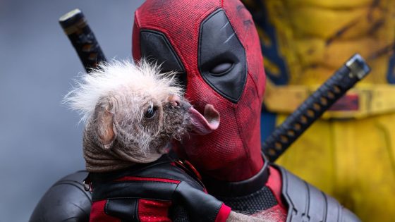 I Would Not Have Expected One Moment In Deadpool And Wolverine Took Months Of Work, But Shawn Levy Reveals It Was A Lot – MASHAHER