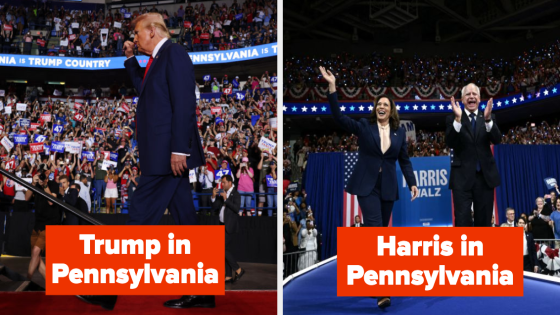 These Pictures Compare The Crowds At Donald Trump's And Kamala Harris's Rallies – MASHAHER