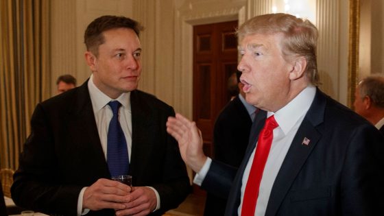 Donald Trump’s chat with Elon Musk delayed due to ‘massive DDOS attack’ | US News – MASHAHER