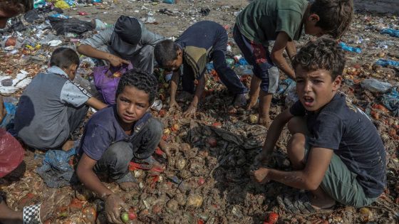 Israel and Hamas agree to brief ceasefires in Gaza to distribute thousands of polio vaccines, WHO says | World News – MASHAHER