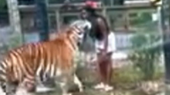 Woman charged with trespassing after allegedly climbing zoo fence and reaching into tiger’s cage | US News – MASHAHER