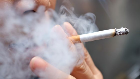 Outdoor smoking ban ‘sensible approach’ to help people stop habit, minister says | Politics News – MASHAHER