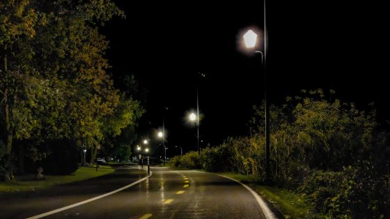 Leaving streetlights on all night appears to be changing how nature works, study finds | Science & Tech News – MASHAHER