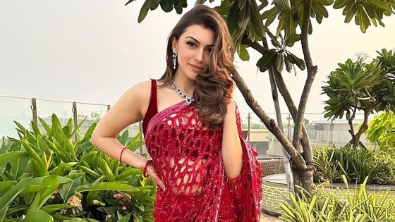 Hansika Motwani's fabulous saree moments – MASHAHER