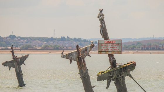 World War Two wreck in Thames Estuary is ‘ticking time bomb’ amid concerns of ‘tsunami risk’ – MASHAHER