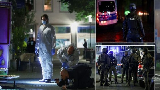 Syrian man arrested after three killed at German festival is suspected member of ISIS – MASHAHER