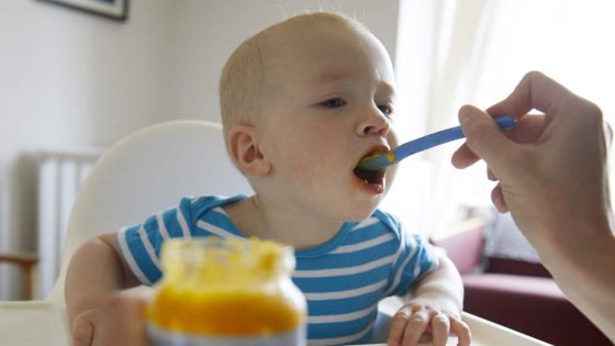 Are baby and toddler foods actually healthy? – MASHAHER