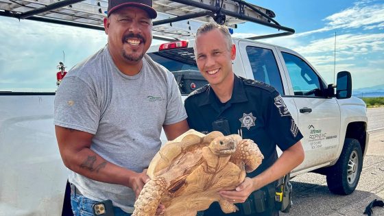 Large desert tortoise rescued from Arizona highway after escaping from ostrich ranch 3 miles away – MASHAHER