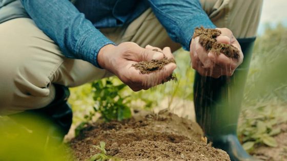 Irish farmer finds near 60-pound slab of ancient bog butter on his land by ‘pure luck’ – MASHAHER