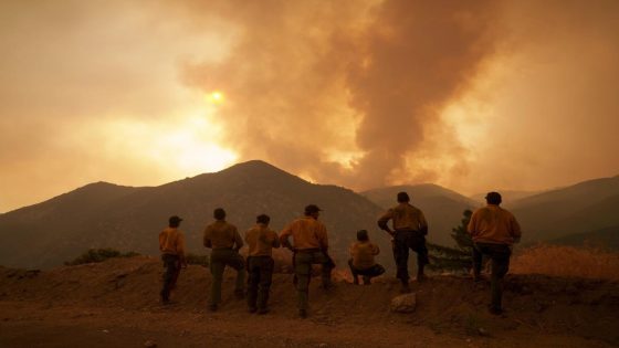 California wildfire flareup prompts evacuation in San Bernardino County – MASHAHER