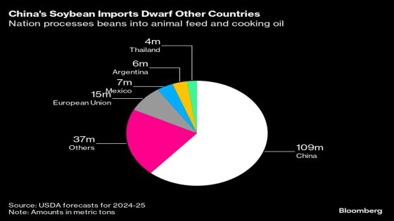 China’s Fading Hunger for Grain Spells Trouble for World Farmers – MASHAHER