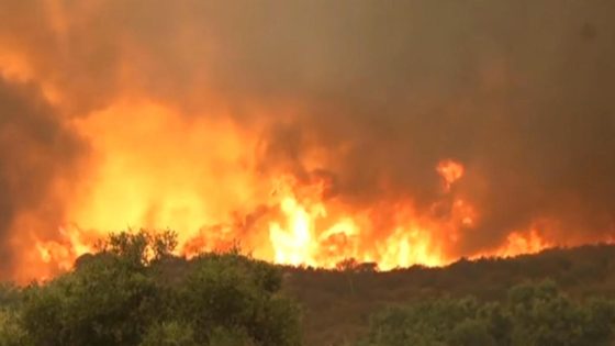 Southern California homeowner recounts battle against raging wildfire – MASHAHER