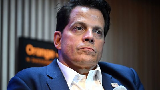 Anthony Scaramucci says he is ‘working alongside’ Kamala Harris on her campaign’s crypto policies – MASHAHER