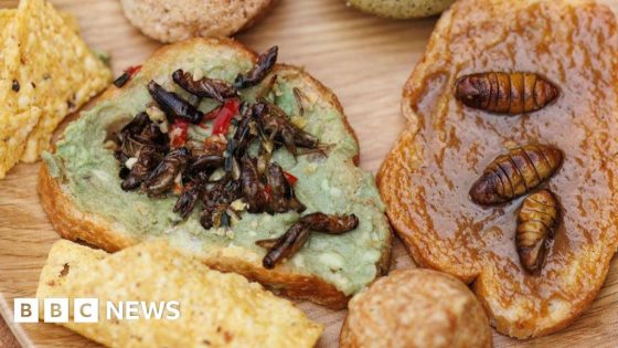 Insect-eating advocates face a culinary challenge: taste – MASHAHER