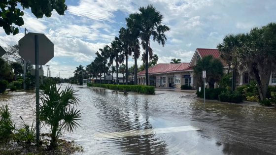 Hurricane Helene did that to Florida? Look at what happened in these photos and videos – MASHAHER