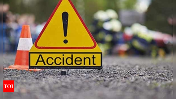 7 dead as lorry falls into canal in Andhra Pradesh’s East Godavari district | Vijayawada News – MASHAHER