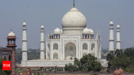 After incessant rain, water leaking from Taj dome, garden flooded; ASI on alert | India News – MASHAHER