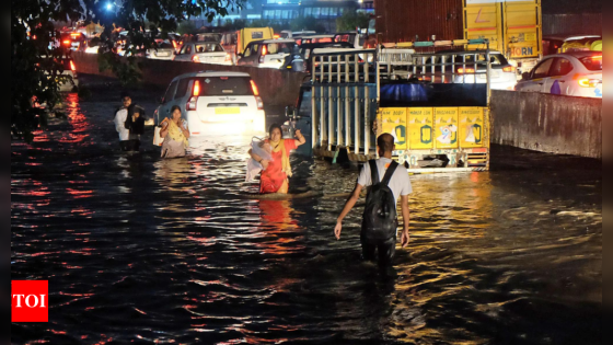 At 668mm, Rajasthan receives highest rainfall in 49 years – MASHAHER