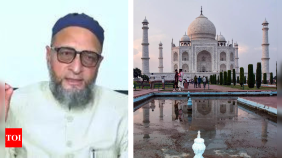 ‘Funnily, they want to take over Waqf monuments’: Owaisi slams ASI over Taj Mahal water leakage | India News – MASHAHER